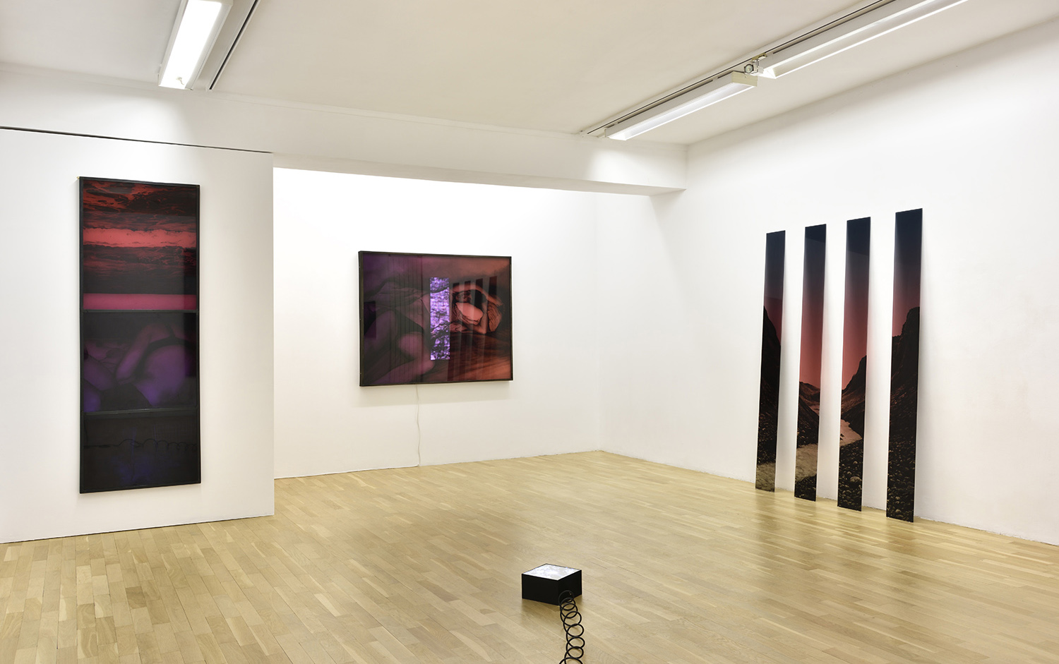 La galerie Isabelle Gounod La galerie Isabelle Gounod>